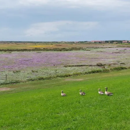 Apartamento Friesenrose Sued Spiekeroog