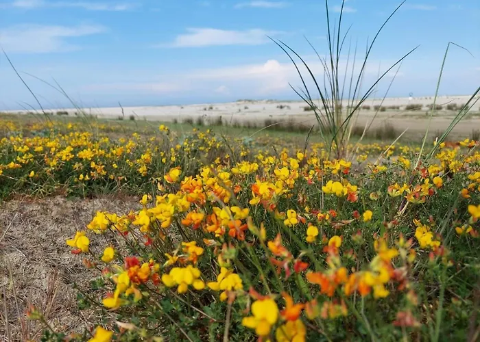 Friesenrose Sued Апартаменты Шпикерог